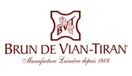 Logo BVT 260x150